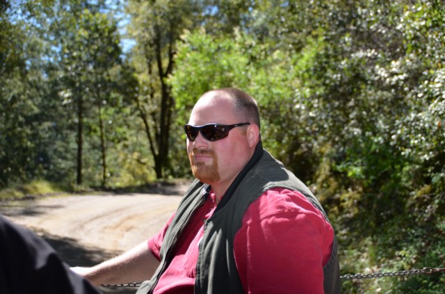 gordogc2011261.jpg